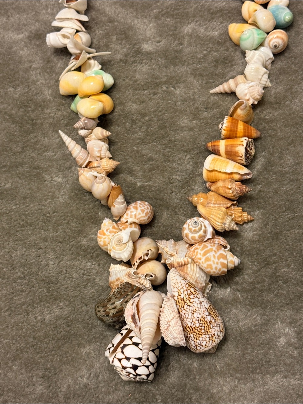 Large Shell Necklace - Picture 8 of 9